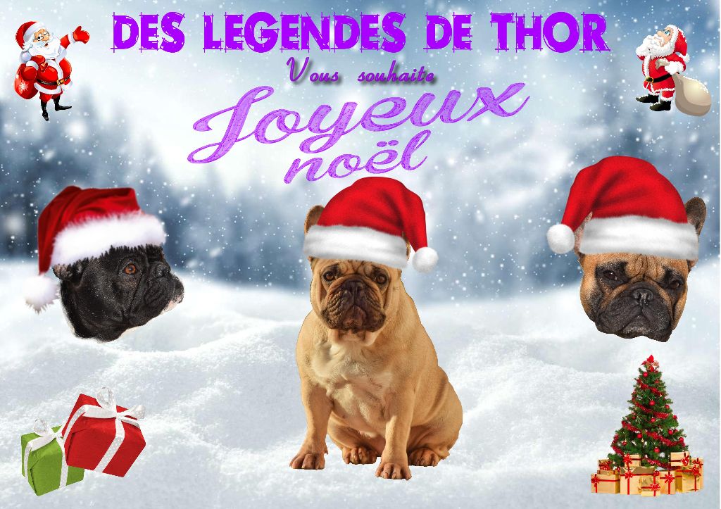 Des Legendes De Thor - JOYEUX NOEL 
