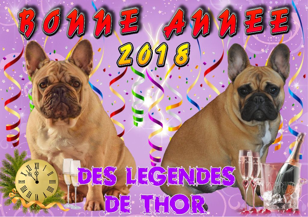 Des Legendes De Thor - Bonne et heureuse année 2018