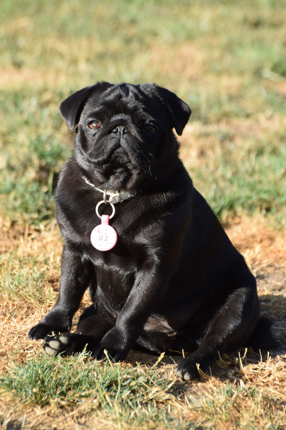 U2 Des Legendes De Thor