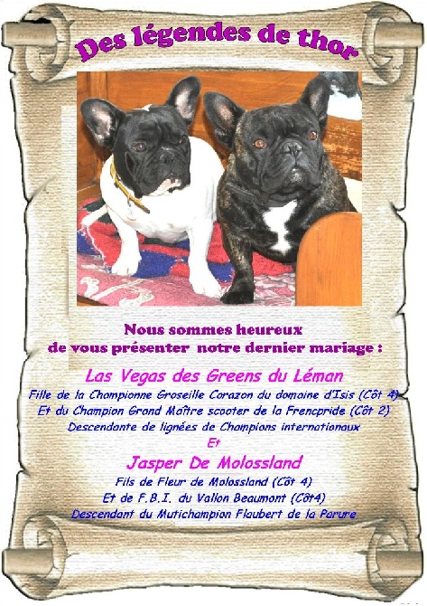 Des Legendes De Thor - Nouvelle naissance !